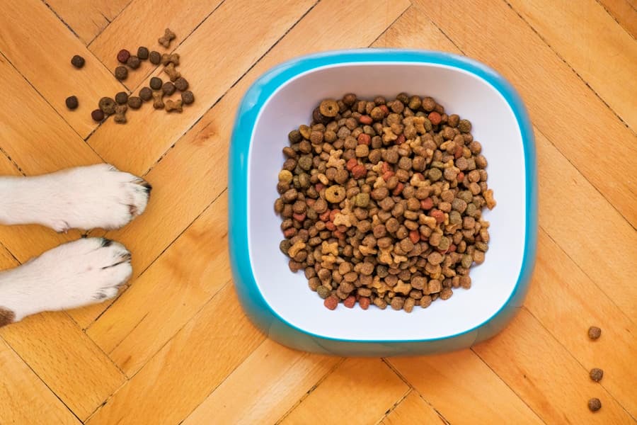 Elevated Pet Bowl Stand